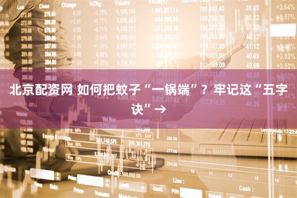 北京配资网 如何把蚊子“一锅端”？牢记这“五字诀”→