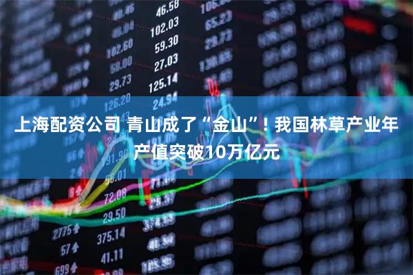上海配资公司 青山成了“金山”! 我国林草产业年产值突破10万亿元