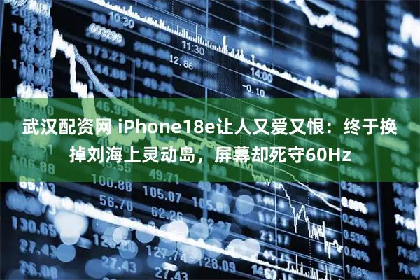 武汉配资网 iPhone18e让人又爱又恨：终于换掉刘海上灵动岛，屏幕却死守60Hz